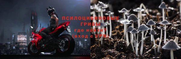 дурь Алексин