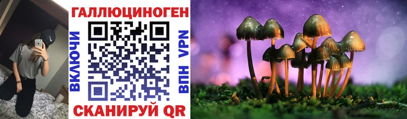 Галлюциногенные грибы GOLDEN TEACHER  Могоча 